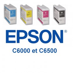 pack de 4 cartouches Epson C6000 et C6500