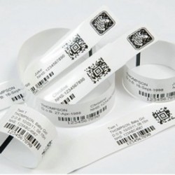 bracelet zebra HC100